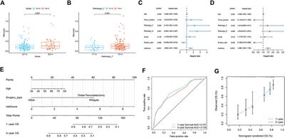 Integrated analysis of senescence-associated genes in pancreatic ductal adenocarcinoma